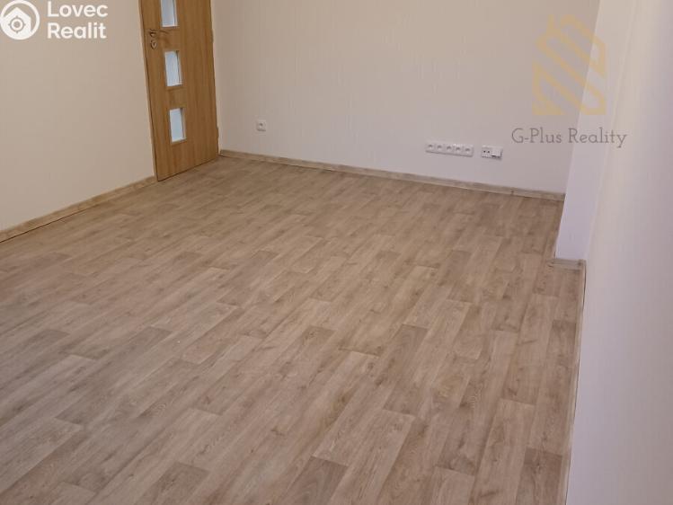 Pronájem bytu 1+KK Louny č. 1