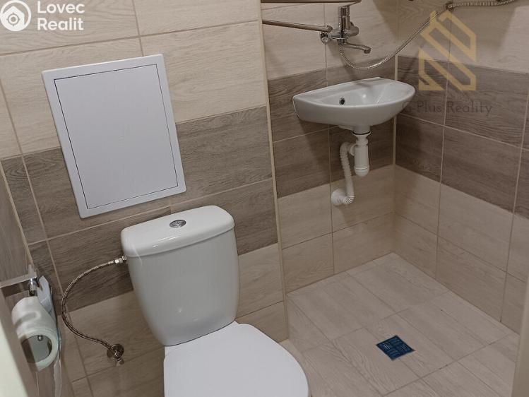 Pronájem bytu 1+KK Louny č. 3