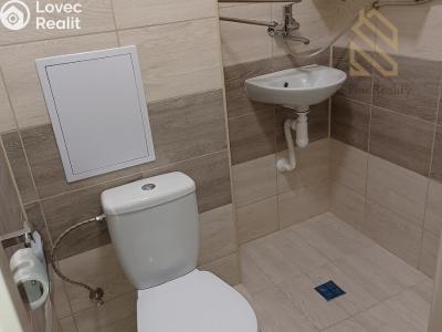 Pronájem bytu 1+KK Louny č. 3