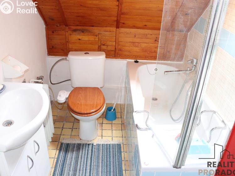 Продажа дачи Čistá č. 50