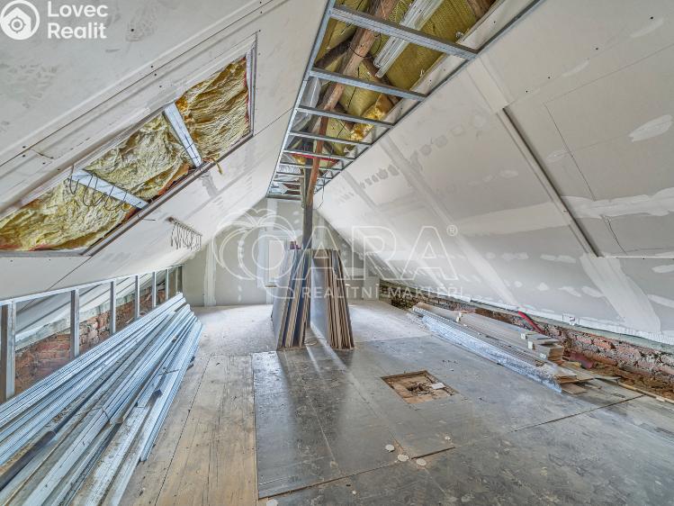 Продажа семейного дома Říčany, Rooseveltova 720/35 č. 19