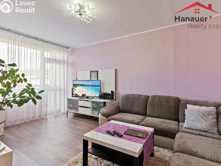 Pronájem bytu 3+1 Ústí nad Labem, U Pivovarské zahrady č. 3