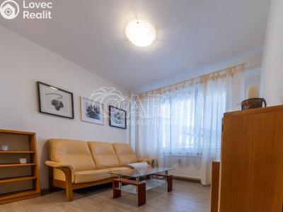 Pronájem bytu 2+KK Pardubice č. 4