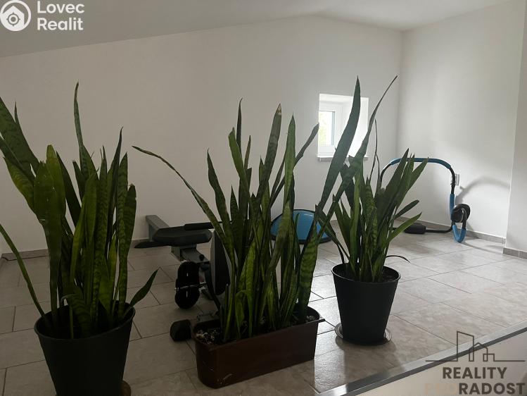 Pronájem rodinného domu Dolní Domaslavice č. 9