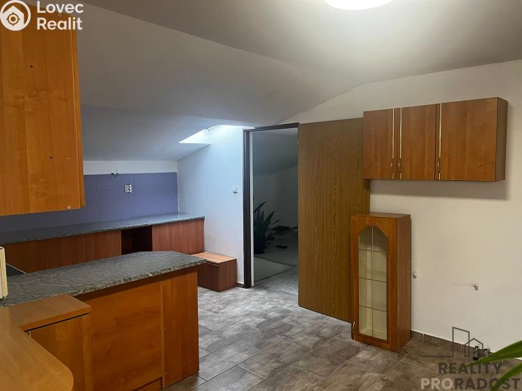 Rent family house Dolní Domaslavice č. 2