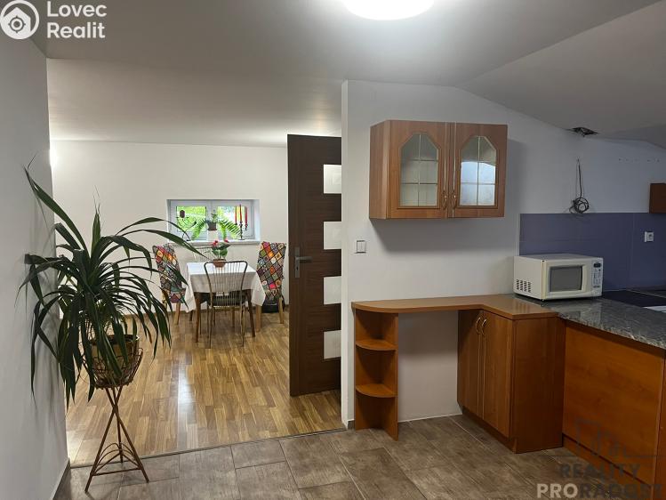 Rent family house Dolní Domaslavice č. 3