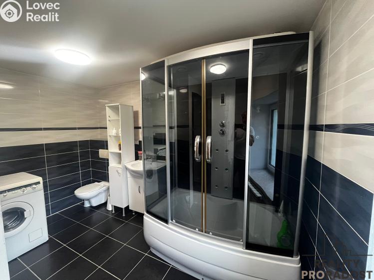 Rent family house Dolní Domaslavice č. 5