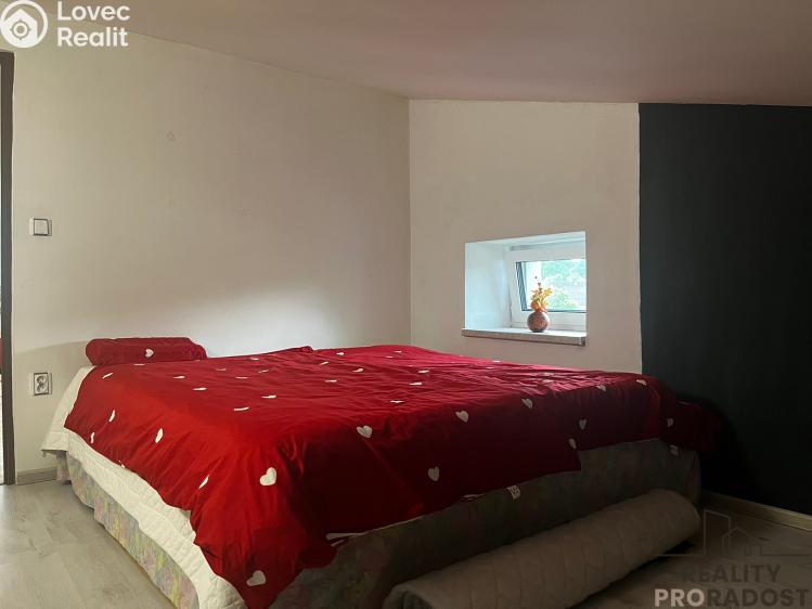 Rent family house Dolní Domaslavice č. 6