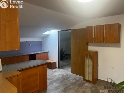 Оренда сімейного будинку Dolní Domaslavice č. 2