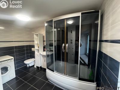 Оренда сімейного будинку Dolní Domaslavice č. 5