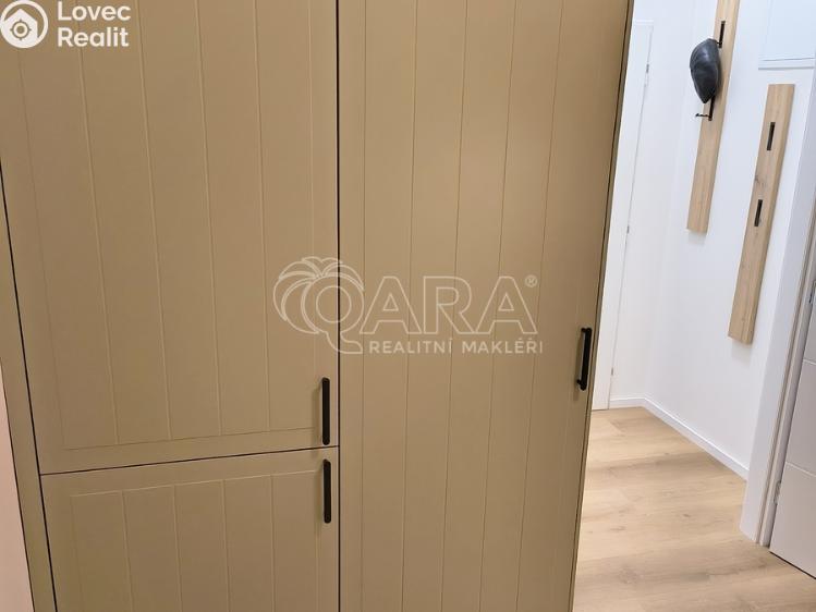 Pronájem bytu 1+1 Praha, U Tyrše 159/2 č. 6