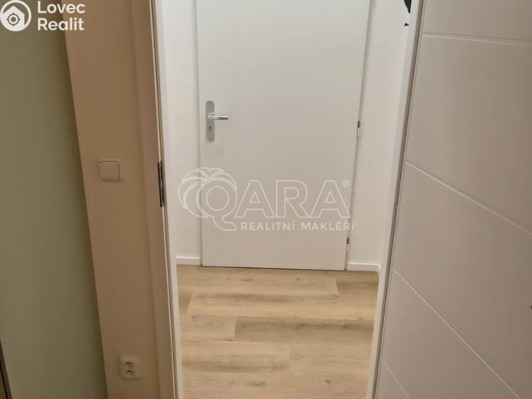 Pronájem bytu 1+1 Praha, U Tyrše 159/2 č. 7