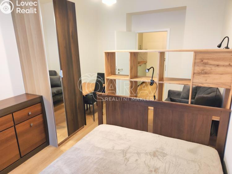 Rent apartment 1+1 Praha, U Tyrše 159/2 č. 2