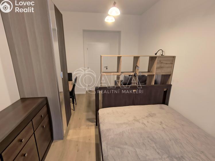 Rent apartment 1+1 Praha, U Tyrše 159/2 č. 3