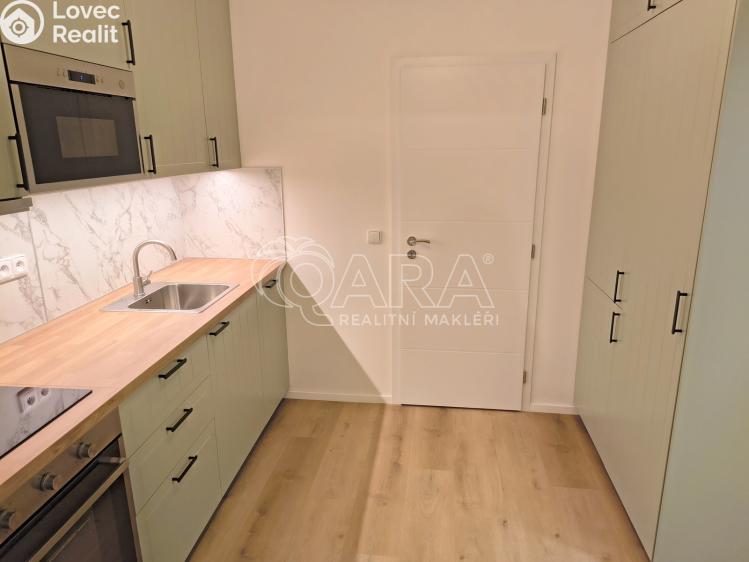Rent apartment 1+1 Praha, U Tyrše 159/2 č. 5