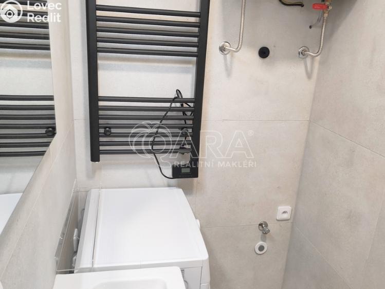 Rent apartment 1+1 Praha, U Tyrše 159/2 č. 8