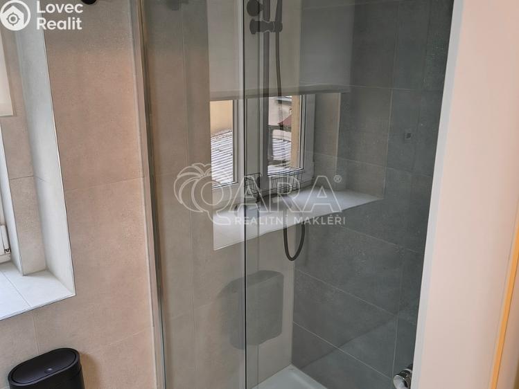 Rent apartment 1+1 Praha, U Tyrše 159/2 č. 9