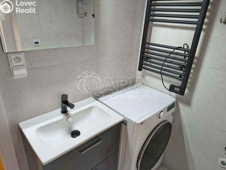 Rent apartment 1+1 Praha, U Tyrše 159/2 č. 10