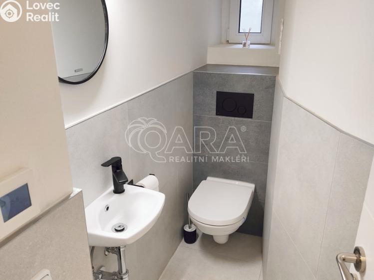 Rent apartment 1+1 Praha, U Tyrše 159/2 č. 11
