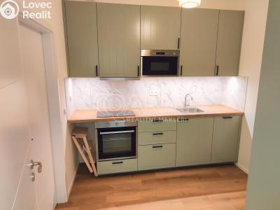 Аренда квартиры 1+1 Praha, U Tyrše č. 4