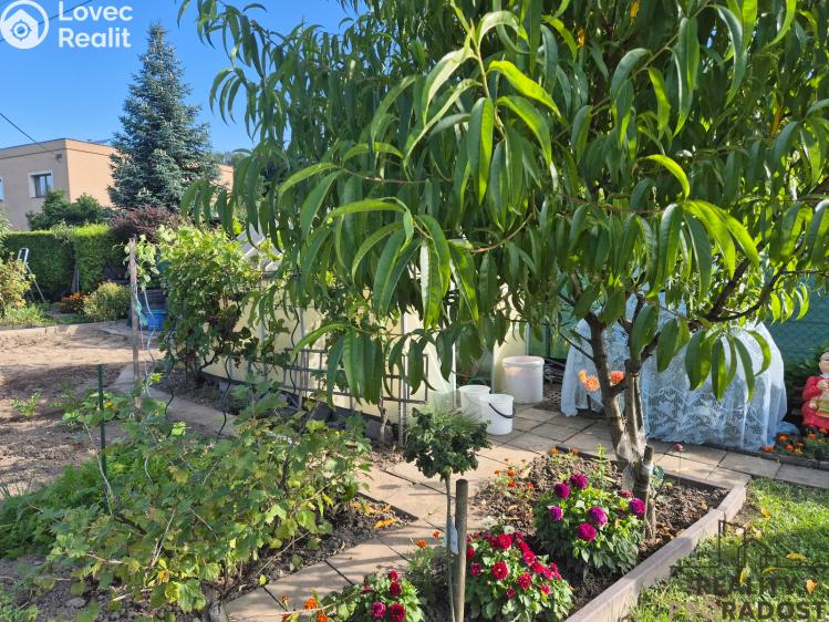 Prodej chaty Třinec č. 15