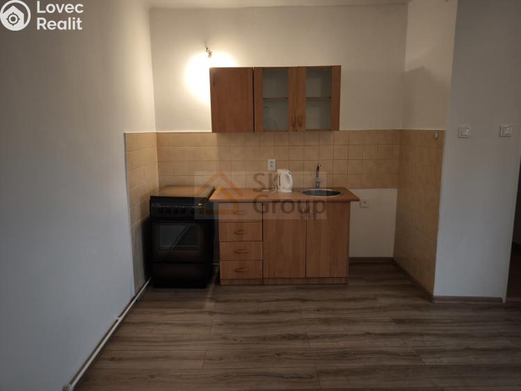 Pronájem bytu 1+KK Kynšperk nad Ohří, Maxima Gorkého 5/19 č. 1