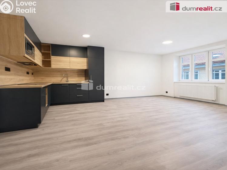 Pronájem bytu 2+1 Děčín, Zámecká č. 1