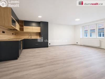 Pronájem bytu 2+1 Děčín, Zámecká č. 1