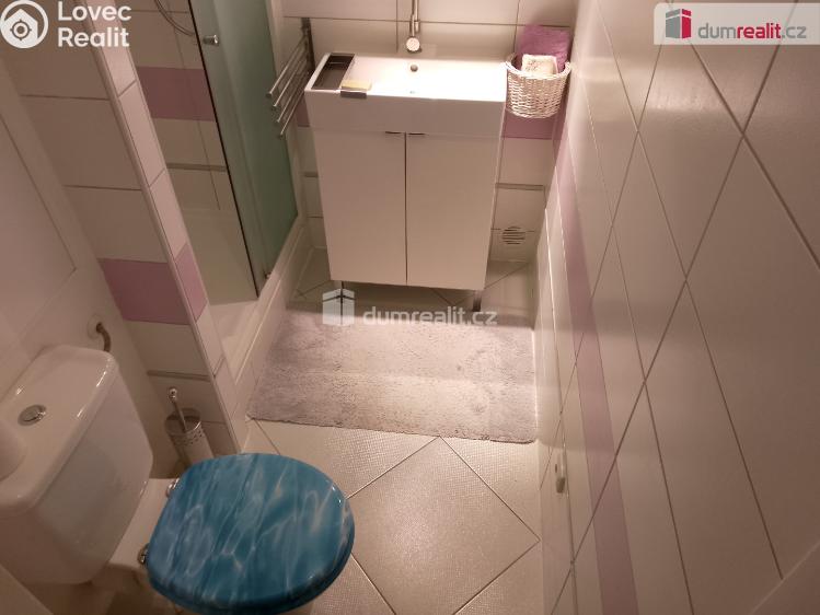 Pronájem bytu 2+1 Karlovy Vary, Lomená č. 16