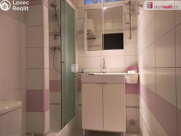 Pronájem bytu 2+1 Karlovy Vary, Lomená č. 18