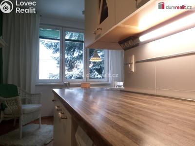 Pronájem bytu 2+1 Karlovy Vary, Lomená č. 6