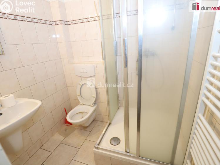 Pronájem bytu 3+1 Mariánské Lázně, Pod Panoramou č. 15