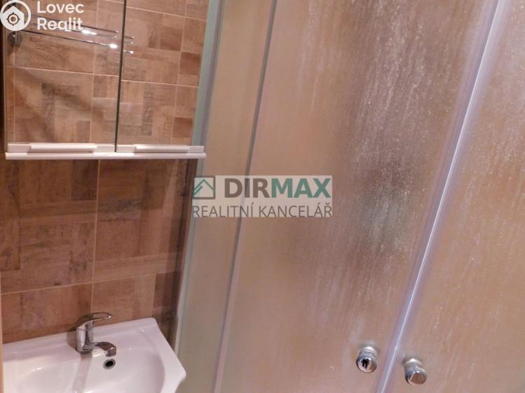 Pronájem bytu 1+1 Plzeň, Alešova č. 9