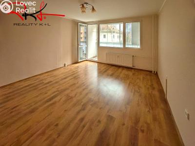 Pronájem bytu 1+1 Štětí, Dohnalova č. 1