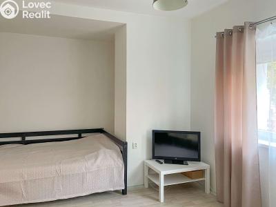 Pronájem bytu 1+KK Praha, Na bitevní pláni č. 4