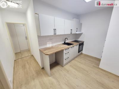 Pronájem bytu 3+1 Štětí, Radouňská č. 2