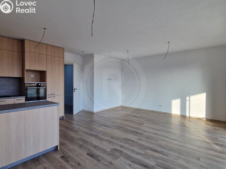 Pronájem bytu 3+KK České Budějovice, Šroubárenská 2072/43 č. 1