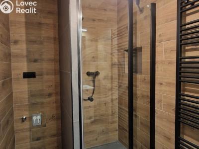 Pronájem bytu 3+KK České Budějovice, Šroubárenská č. 6