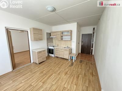 Pronájem bytu 1+1 Jirkov, 5. května č. 2