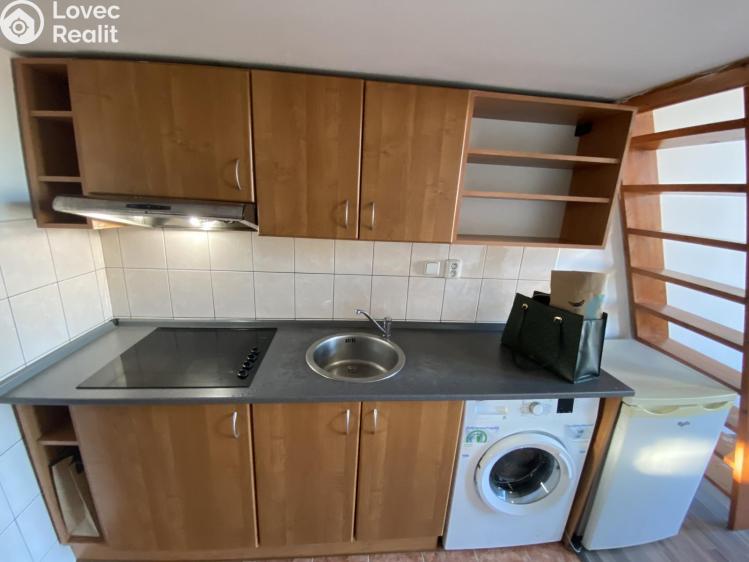 Pronájem bytu 1+KK Praha, Freyova č. 1