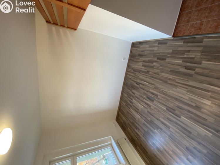 Pronájem bytu 1+KK Praha, Freyova č. 13