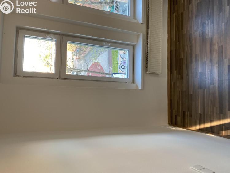 Pronájem bytu 1+KK Praha, Freyova č. 16