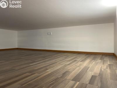 Pronájem bytu 1+KK Praha, Freyova č. 6