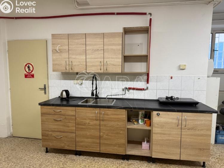 Rent commercial space Nový Jičín, U Grasmanky 664/2 č. 11