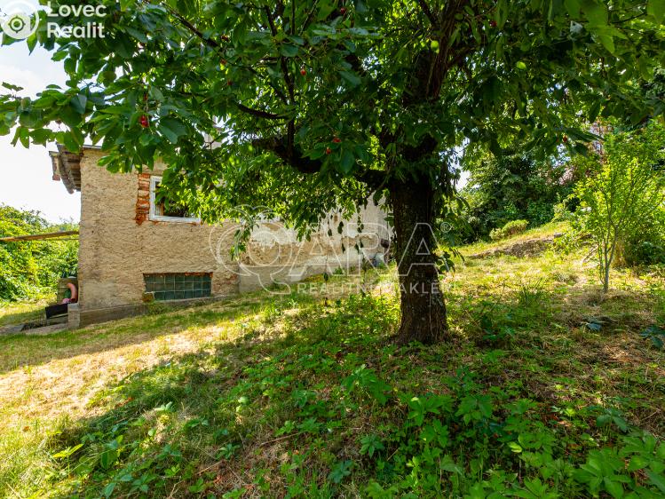 Sale hut Zvánovice, Lipová 75 č. 17