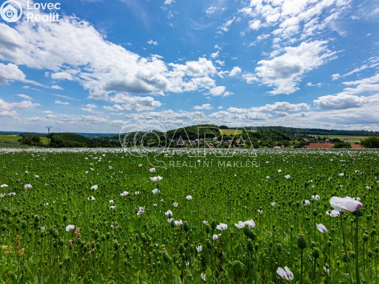 Sale hut Zvánovice, Lipová 75 č. 24