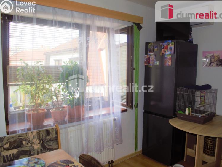 Pronájem bytu 1+1 Mnichovo Hradiště, Ivana Olbrachta č. 2