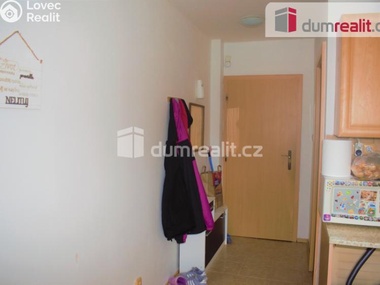 Pronájem bytu 1+1 Mnichovo Hradiště, Ivana Olbrachta č. 3