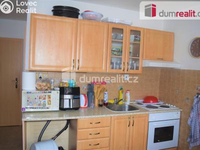 Pronájem bytu 1+1 Mnichovo Hradiště, Ivana Olbrachta č. 1