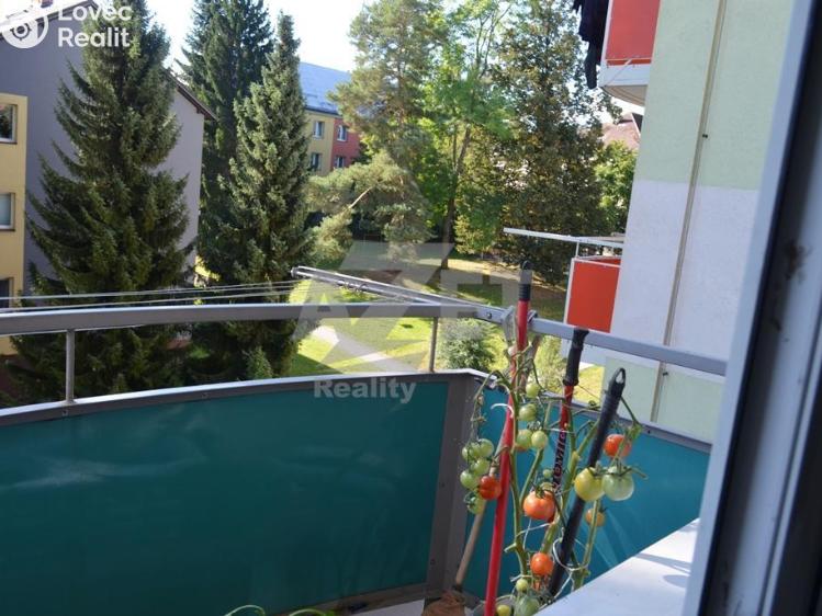 Prodej bytu 3+1 Jeseník č. 9